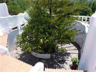 By Bush Telegraph 3* Johannesburg